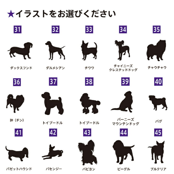もう迷わない 日本製 国産アクリル使用 頑丈 世界に一つの名札 カートタグ バギータグ クレートタグ タグ キャリーケース コンテナ クレート 犬 猫 ハードキャリー 小型犬 名札 ペットグッズ 犬用 可愛い おしゃれ 名入れ ネームプレート 多頭飼い 人気が高い