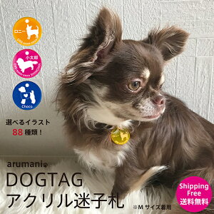 y pqD YANdl eTCY Iׂ88 D ybgObY p  qD ^ ^ ^ U o hbO    IWi