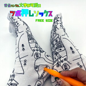 nO c{C c{\bNX ˋ vg  _ʔ JbT ډ c{ C \bNX C t[TCY jp ؍ ؗ