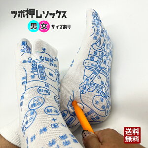 jeTCY c{C c{\bNX ˋ vg  _ʔ JbT ډ c{ C \bNX C