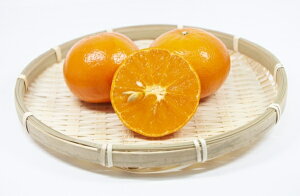 yʎczŐVnCubhk ׂɂ΂ 12cmO|bg 1c _ѐYȕio^ io^Fׂɂ΂ io^ԍF16772 COo֎~ii_яHPjQƁj