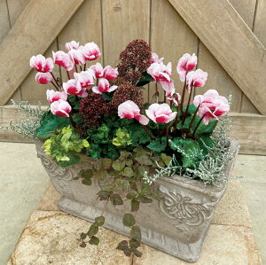 yԕczVN An VCbh 9cm|bg 1c