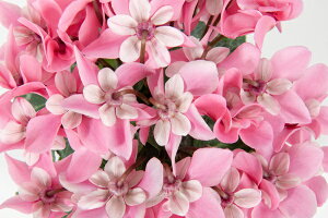 yԕczVN WbNX sN 9cm|bg 1c