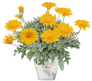 ԕc KUjA r[Xg Vo[eBK[ 9cm|bg 1c _ѐYȕio^ o蒆ԍ34816