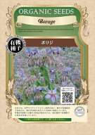 有機種子 ボリジ グリーンフィールドプロジェクトのタネ