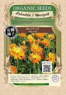 有機種子 カレンジュラ（オレンジ）グリーンフィールドプロジェクトのタネ