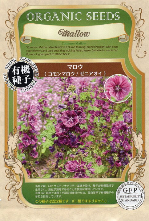 楽天市場 有機種子 マロウ コモンマロウ ゼニアオイ グリーンフィールドプロジェクトのタネ Ivy 楽天市場 有機種子 マロウ コモンマロウ ゼニアオイ グリーンフィールドプロジェクトのタネ Ivy