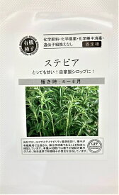 有機種子 ステビア グリーンフィールドプロジェクトのタネ