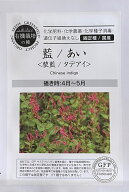 有機栽培の種 藍/あい＜蓼藍/タデアイ＞グリーンフィールドプロジェクトのタネ