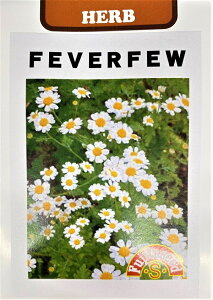 Ԏq tB[o[t[i}gJAjcq̃^l