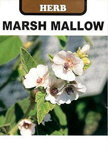 n[uq }V}E iׂɂjcq̃^l