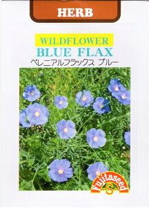 Ԏq yjAtbNXEu[ cq̃^l