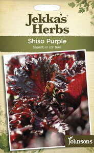 yqzJohnsons Seeds Jekka's Herbs Shiso Purple WFbJYEn[uX V\Ep[v W\YV[h