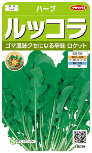 yqzn[u bRiPbgjTJ^̃^l