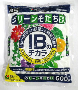 �y�엿�z�Ԃ����� �O���[��������EX 500g