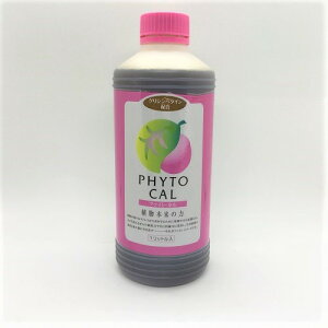 t@CgN[ t@CgEJ 1L y񂹁z