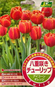 ԋ d炫 `[bv ACR[ 4 JlRc̋