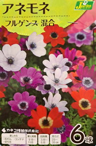 yԋzAll tQX  6 JlRc̋