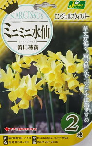 ԋ ~j~j GWFXEBXp[ 2 JlRc̋