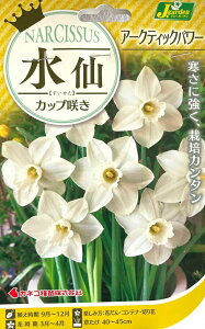 ԋ  Jbv炫 A[NeBbNp[ 2 JlRc̋