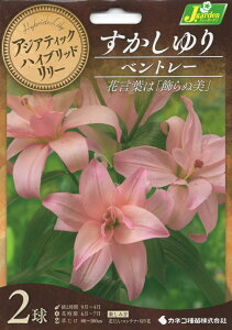 ԋ AWAeBbNnCubh[ d炷 xg[ 2 JlRc̋