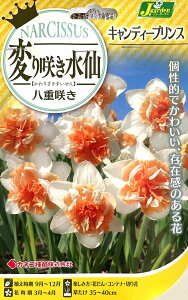 ԋ ς炫 d炫 LfB[vX 2 JlRc̋