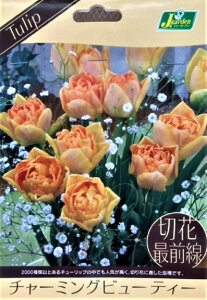 ԋ `[bv ؉ԍőO `[~Or[eB[ 3 JlRc̋