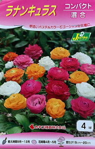 yԋziLX RpNg 4 JlRc̋