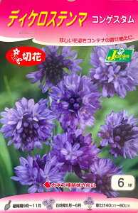 【花球根】ディケロステンマ コンゲスタム 6球入カネコ種苗の球根
