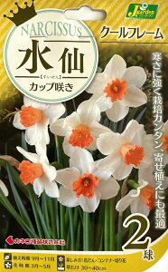 ԋ  Jbv炫 N[t[ 2 JlRc̋