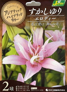 ԋ AWAeBbNnCubh[ d炷 GfB[ 2 JlRc̋