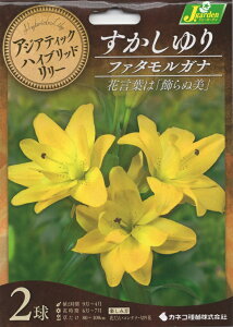 yԋzAWAeBbNnCubh[ d炷 t@^Ki 2 JlRc̋