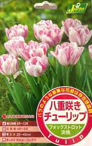 ԋ d炫 `[bv tHbNXgbg 4 JlRc̋