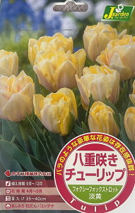 ԋ d炫 `[bv tHNV[tHbNXgbg 4 JlRc̋