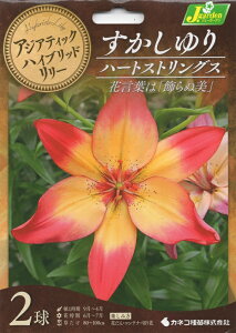 ԋ AWAeBbNnCubh[  n[gXgOX 2 JlRc̋