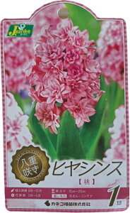 ԋ d炫qVX  1 JlRc̋