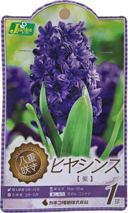 ԋ d炫qVX  1 JlRc̋