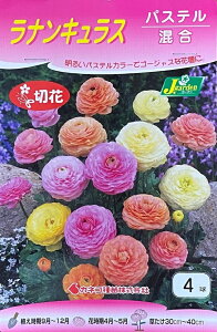 yԋziLX pXe 4 JlRc̋