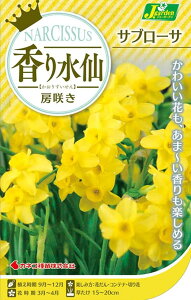 ԋ 萅 [炫 Tu[T 3 JlRc̋