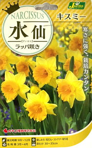 ԋ  bp炫 LX~[ 2 JlRc̋