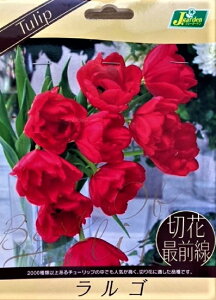 ԋ `[bv ؉ԍőO S 3 JlRc̋