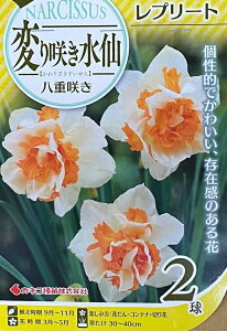 ԋ ς炫 d炫 v[g 2 JlRc̋