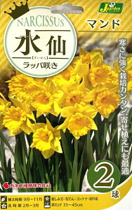 �ԋ��� ���� ���b�p�炫 �}���h 2���� �J�l�R��c�̋���