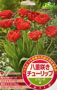 ԋ d炫 `[bv ~_ 4 JlRc̋