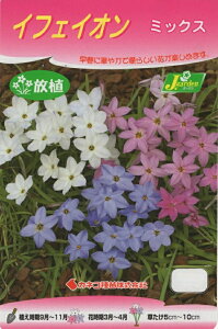 yԋzCtFCI ~bNX 7 JlRc̋