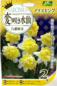 ԋ ς炫 d炫 ACXLO 2 JlRc̋