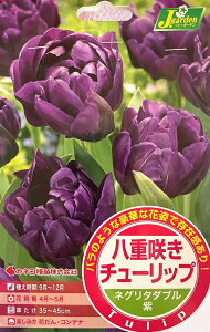 ԋ d炫 `[bv lO^_u 4 JlRc̋