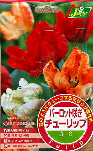 ԋ p[bg炫 `[bv  4 JlRc̋