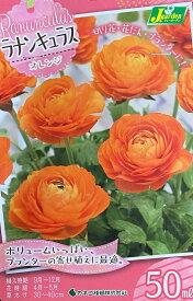 【花球根】ラナンキュラス オレンジ 50ml入 カネコ種苗の球根