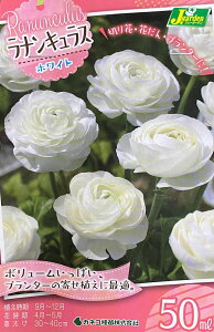 ԋ iLX zCg 50ml JlRc̋